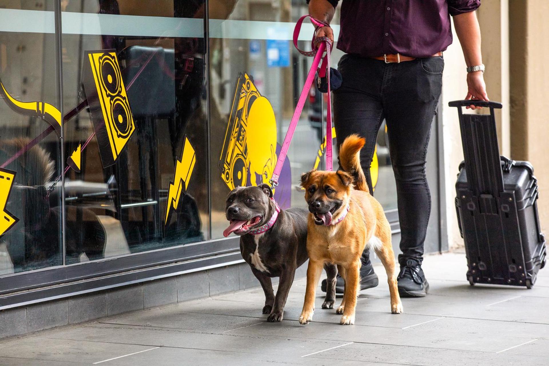 Ink Hotel Melbourne Southbank Екстериор снимка